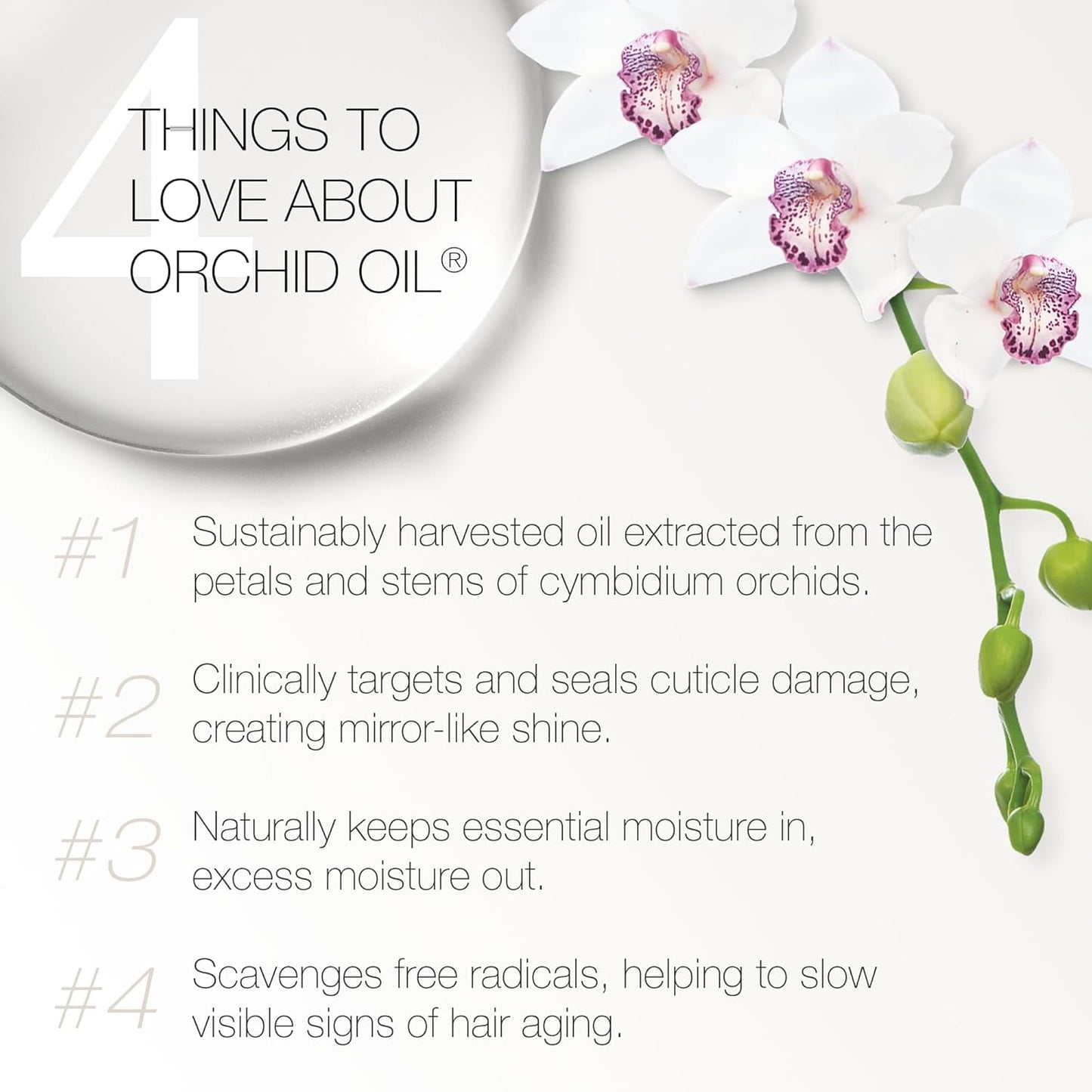REDAVID - Orchid Oil Dual Therapy - 3.3 Fl oz / 100 mL