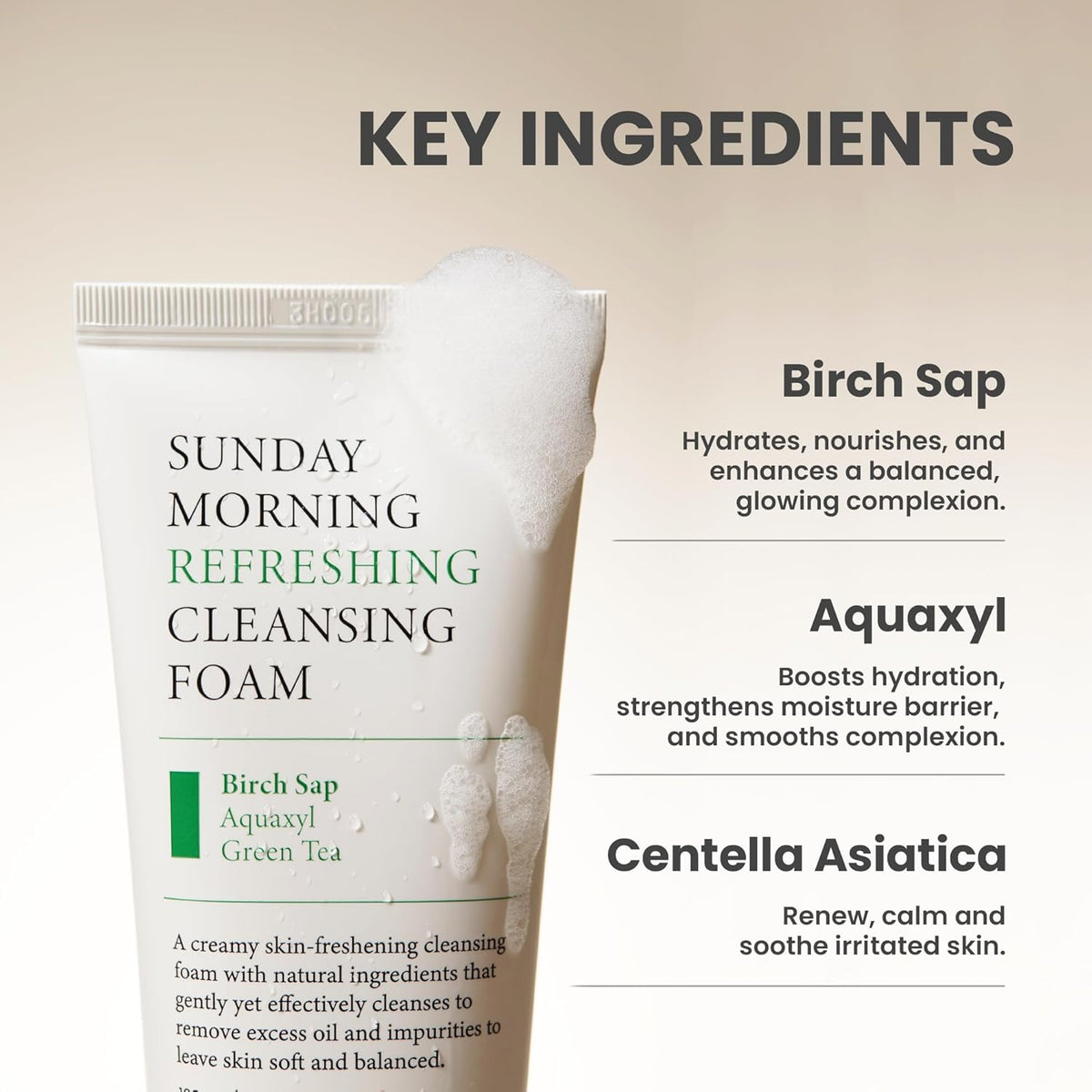 AXIS-Y Sunday Morning Refreshing Cleansing Foam 120 mL (4.05 fl oz) Cleanser AXIS-Y