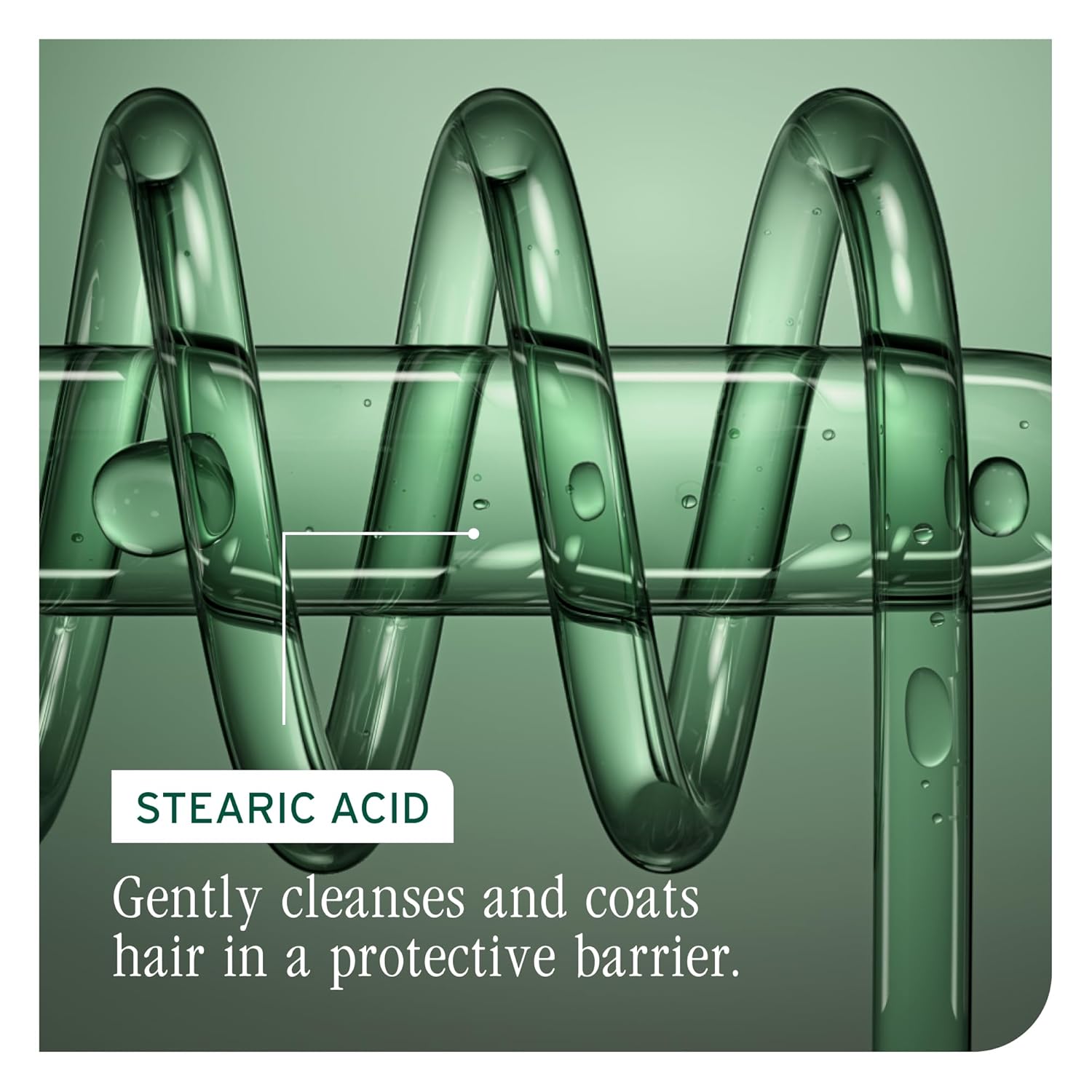 Biolage Color Last Conditioner 1 L (33.8 fl oz)