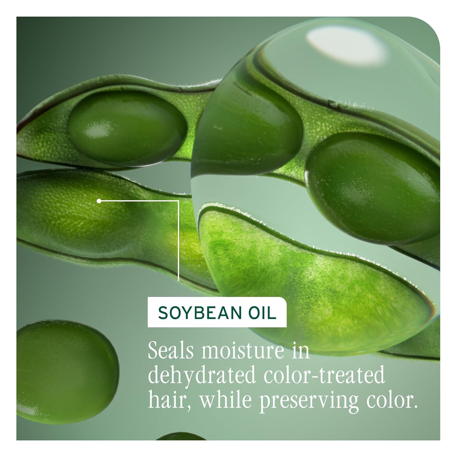 Biolage Color Last Shampoo 1 L (33.8 fl oz)