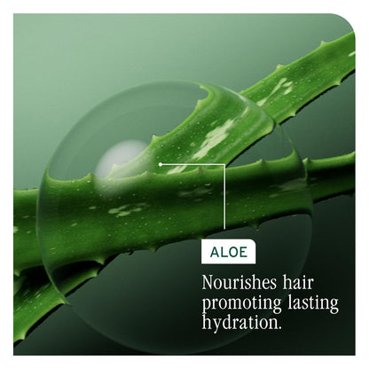 Biolage - Hydra Source Shampoo - 1 L / 33.8 FL oz [Beauty]