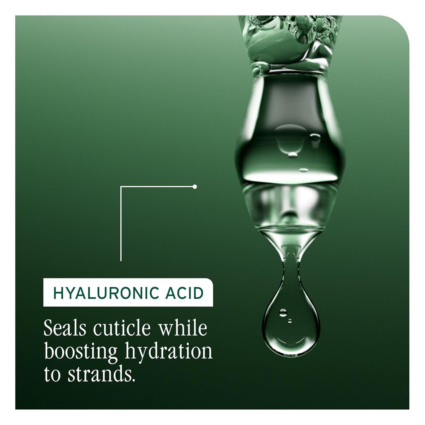 Biolage - Hydra Source Shampoo - 1 L / 33.8 FL oz [Beauty]