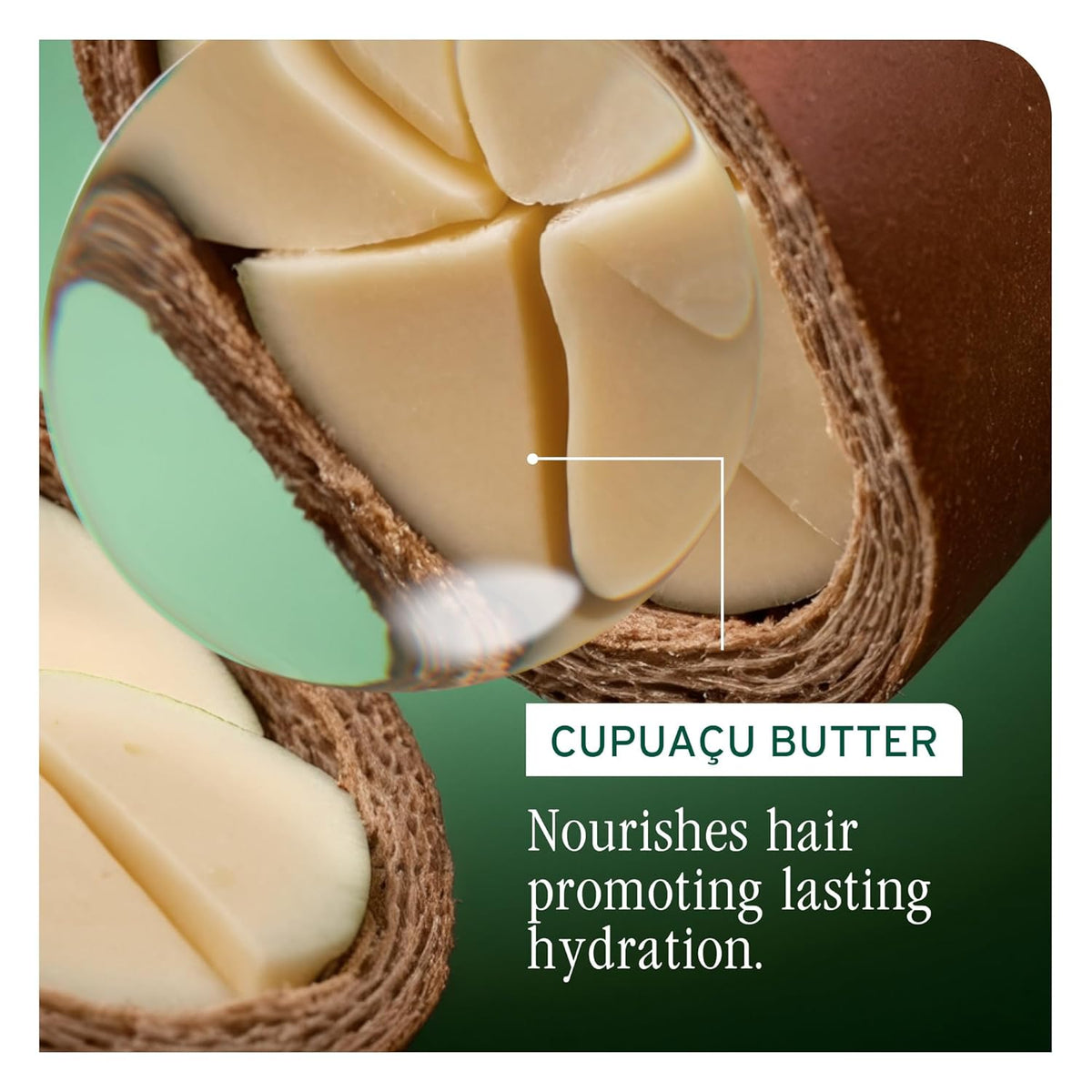 Biolage Ultra Hydra Source Shampoo 1 L (33.8 fl oz) Shampoo Biolage