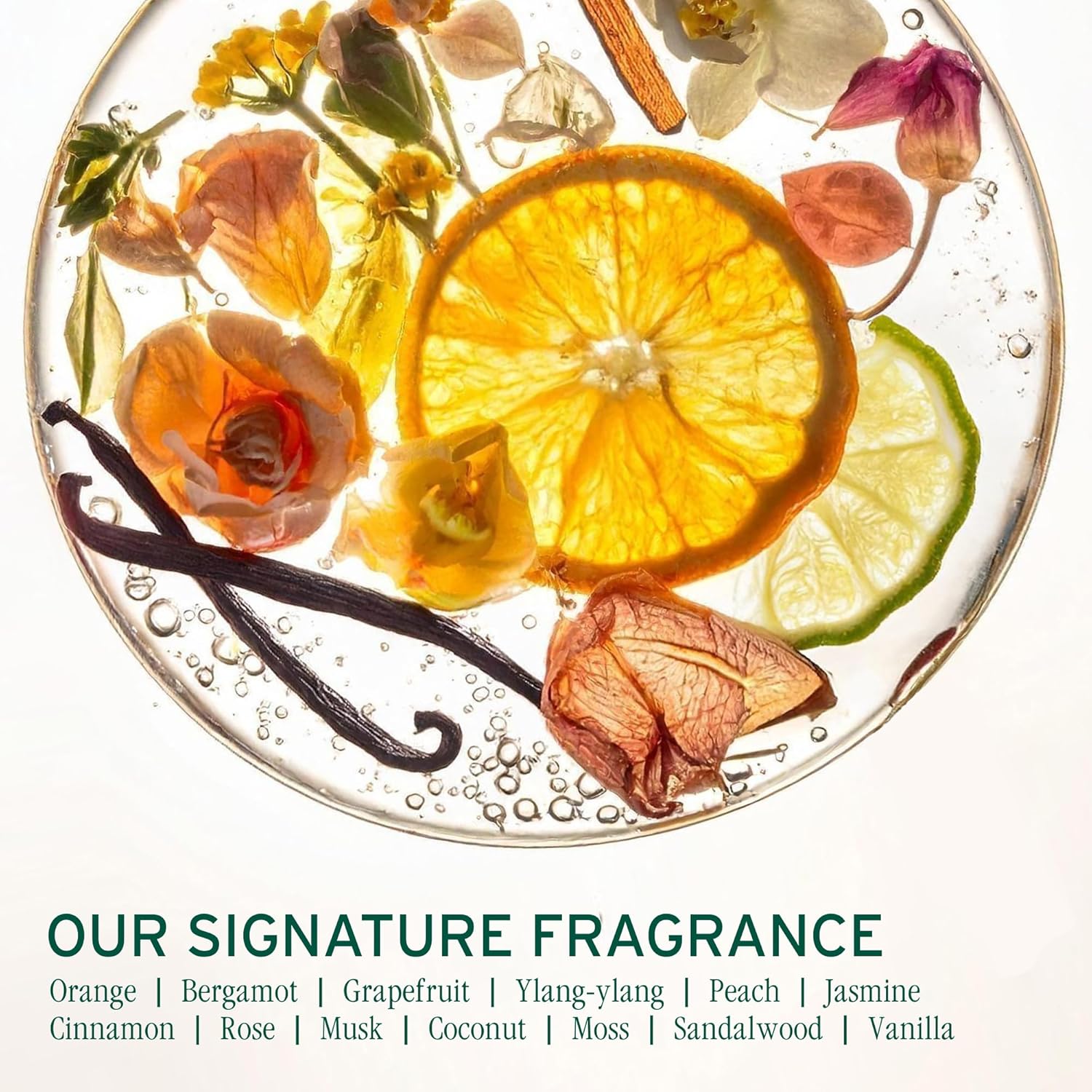 Biolage Color Last Shampoo and Conditioner Duo 400 mL (13.5 fl oz) Set Biolage