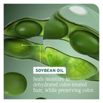 Biolage Color Last Shampoo and Conditioner Duo 400 mL (13.5 fl oz) Set Biolage