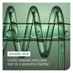 Biolage Color Last Shampoo and Conditioner Duo 400 mL (13.5 fl oz) Set Biolage