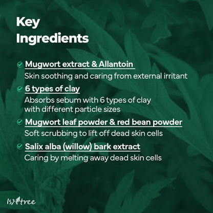 Isntree Mugwort Calming Clay Mask 100mL / 3.38 fl oz