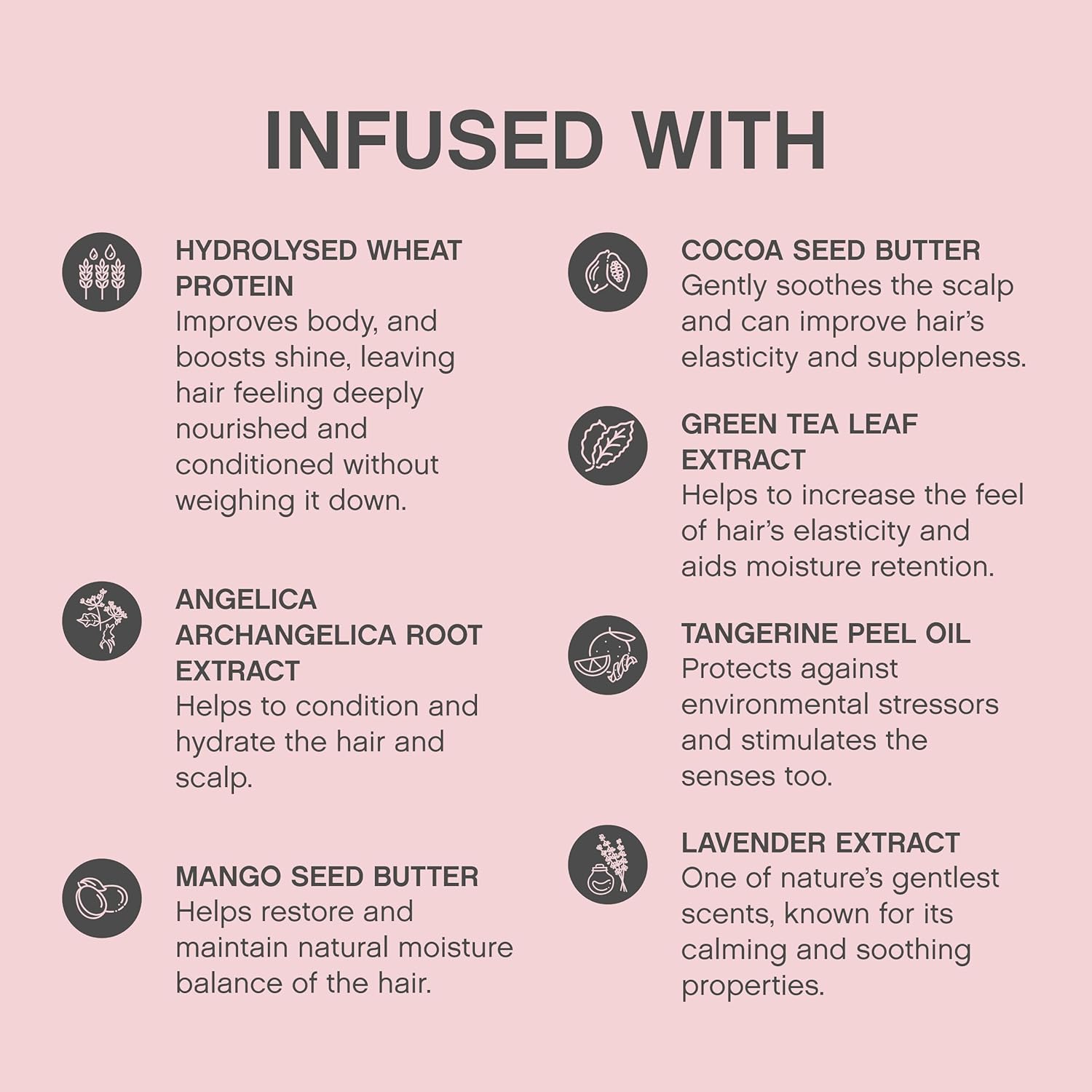 KEVIN.MURPHY Angel Wash & Rinse DUO 1 L (33.8 fl oz)