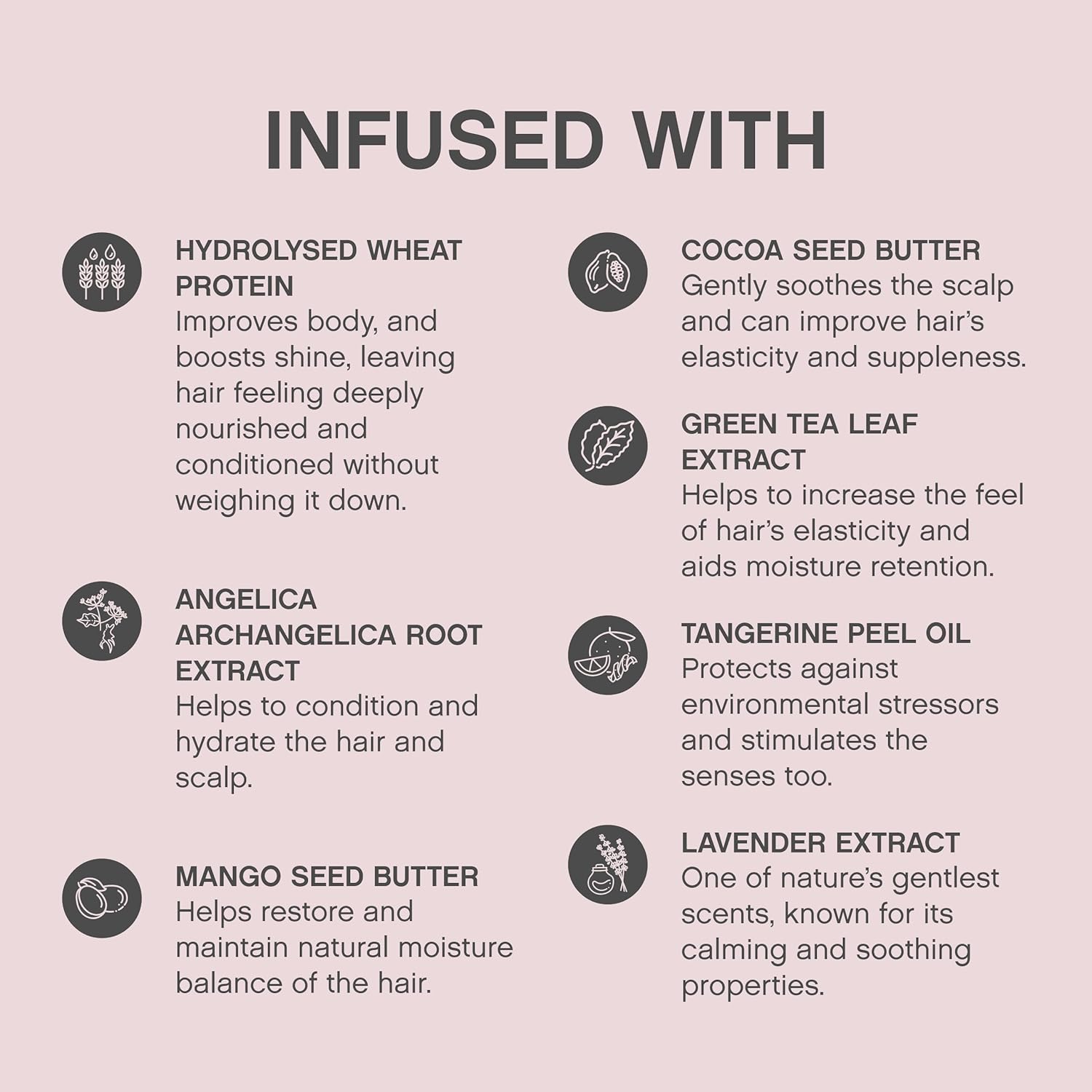 Kevin Murphy - Angel Wash 250ml & Angel Rinse 250ml DUO [Hair Care] Hair Care Kevin Murphy   