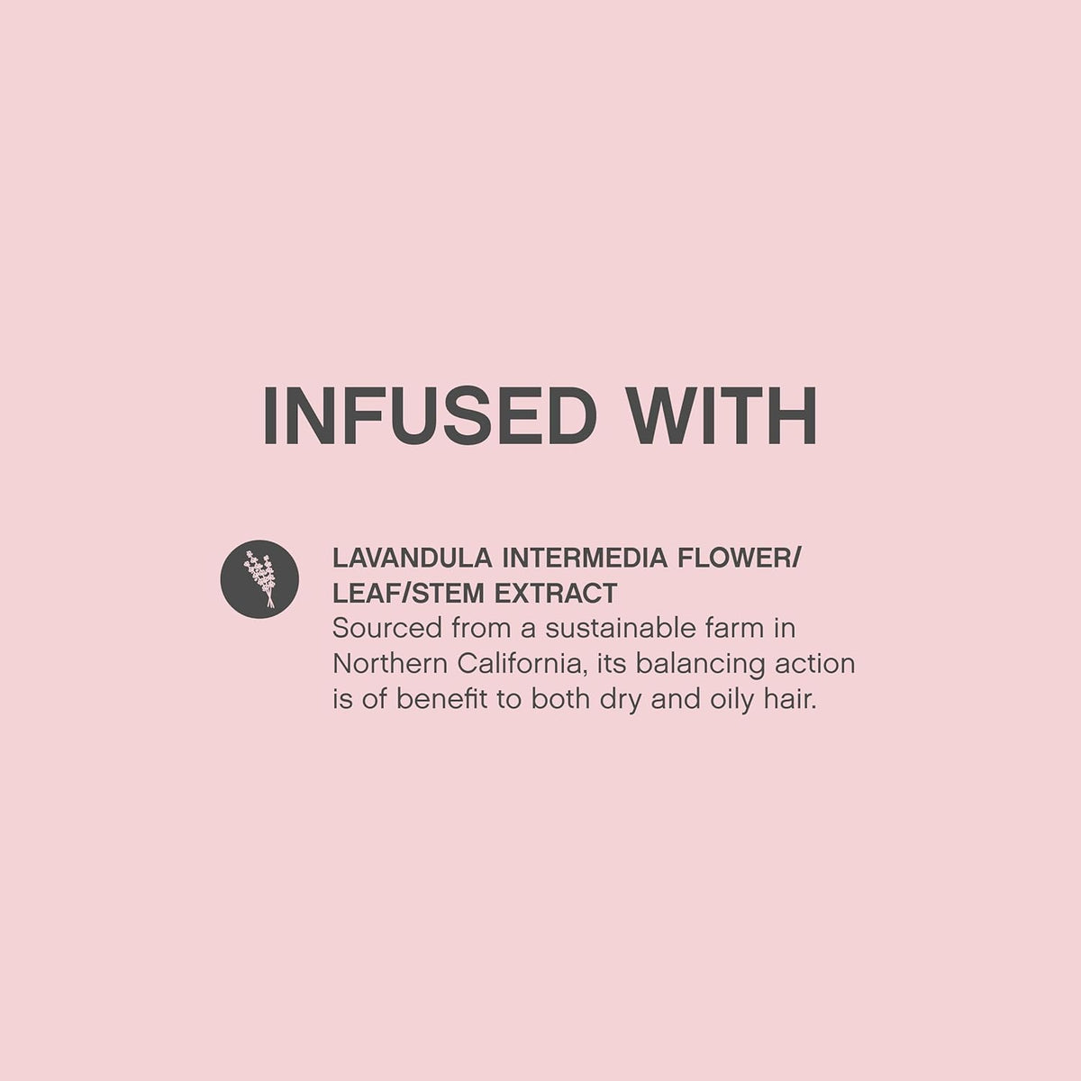 KEVIN.MURPHY Anti Gravity Volumiser 150 mL (5.1 fl oz) Styling Kevin Murphy