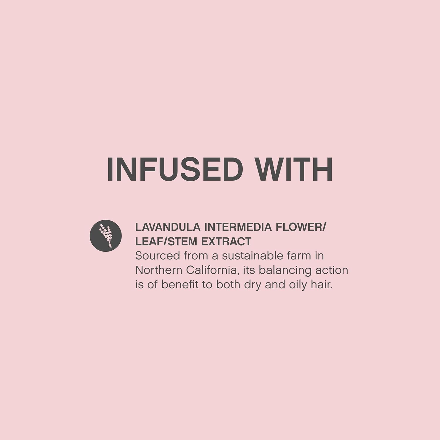 KEVIN.MURPHY Anti Gravity Volumiser 150 mL (5.1 fl oz) Styling Kevin Murphy