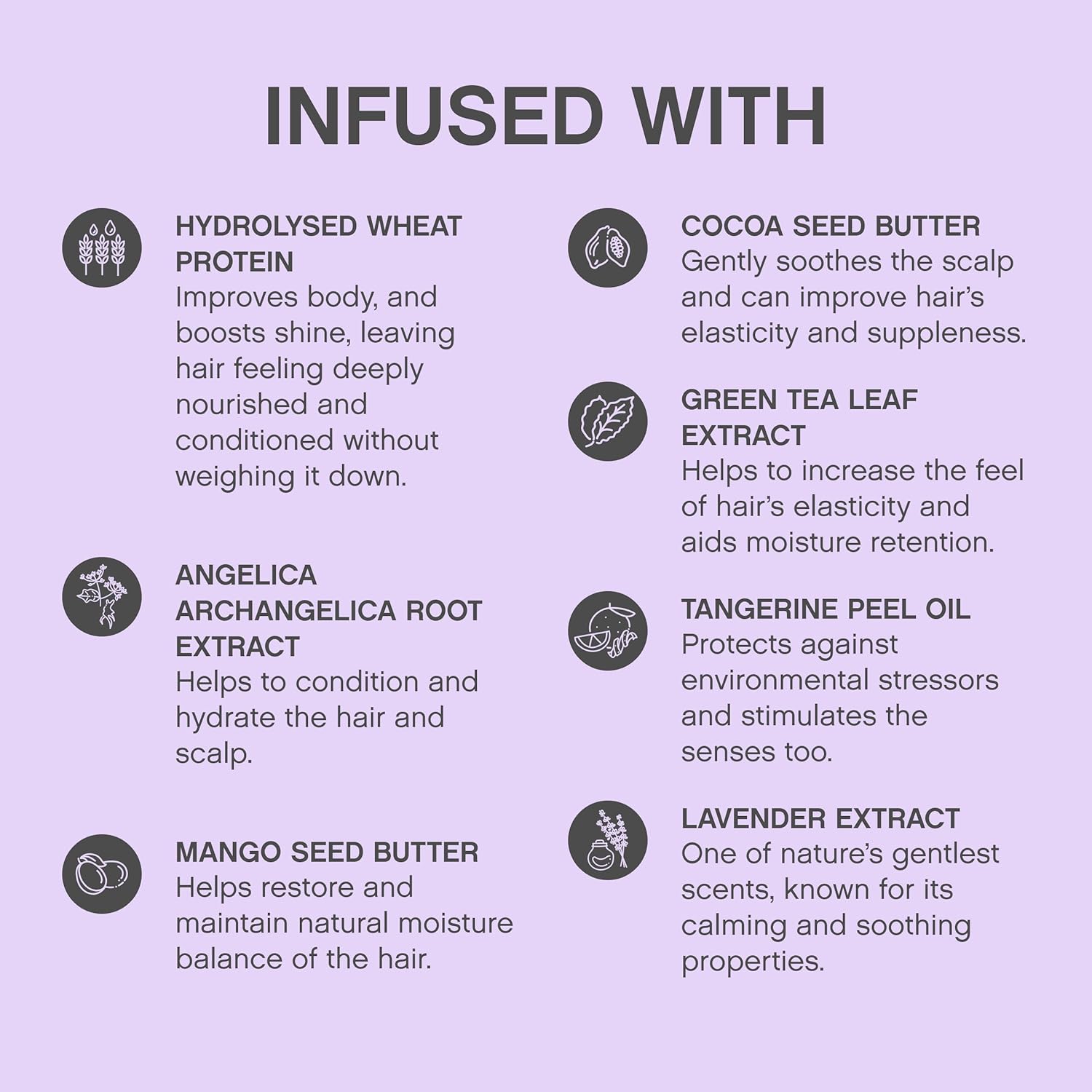 Kevin Murphy - Blonde Angel Wash 250ml & Blonde Angel Colour Enhancing Treatment 250ml DUO [Hair Care] Hair Care Kevin Murphy   