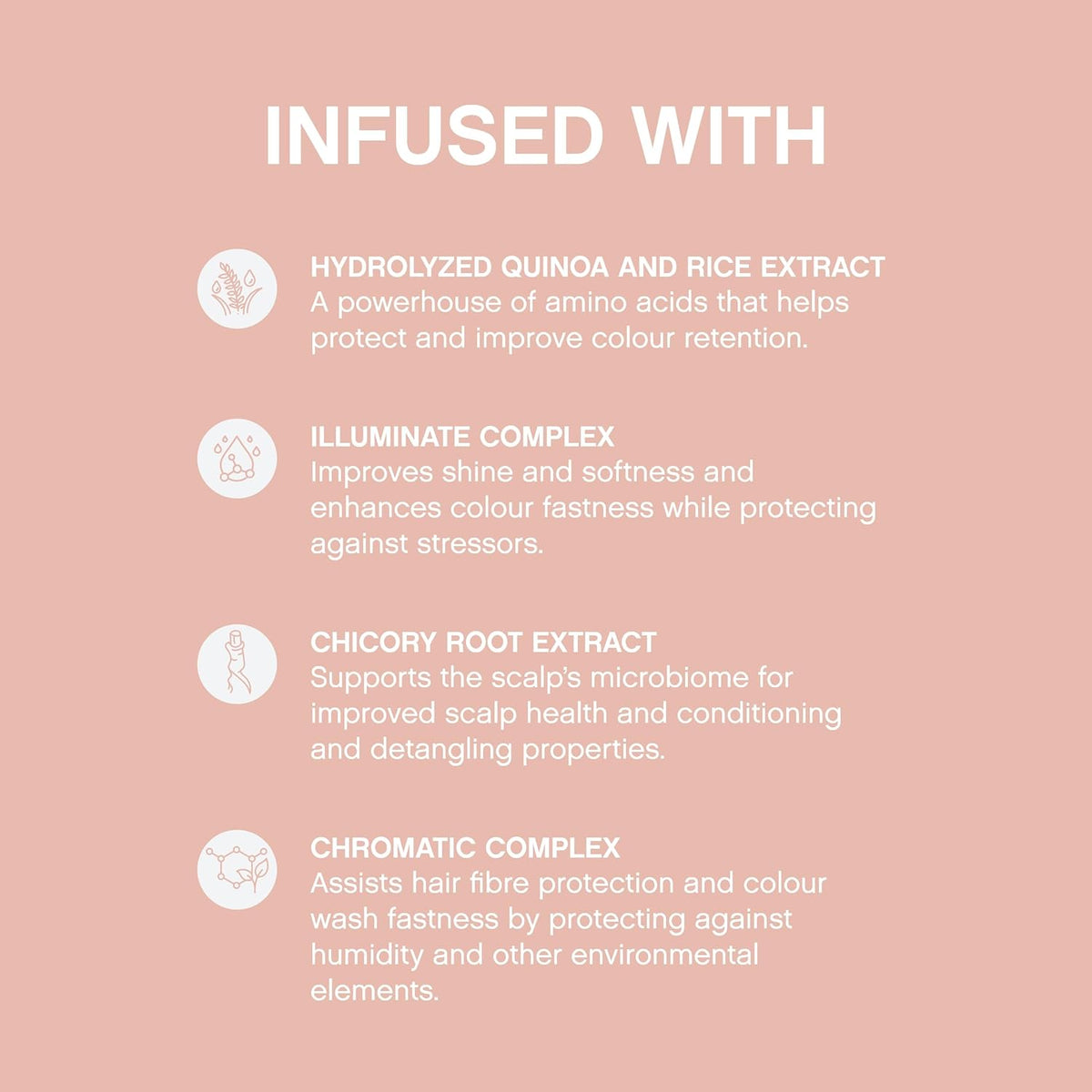 Kevin Murphy - Everlasting Colour Wash & Rinse 250ml DUO [Hair Care] Hair Care Kevin Murphy   