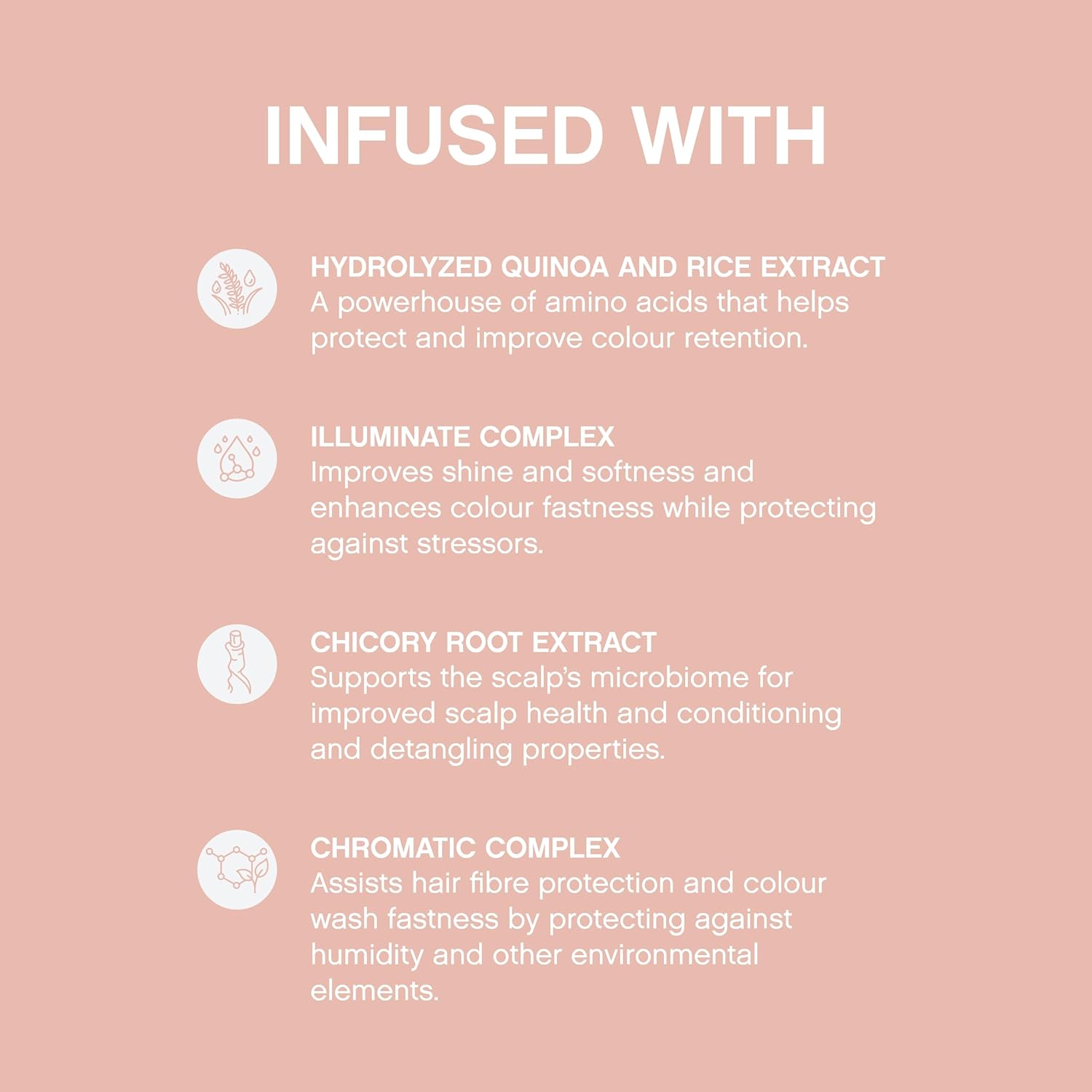 Kevin Murphy - Everlasting Colour Wash & Rinse 250ml DUO [Hair Care] Hair Care Kevin Murphy   