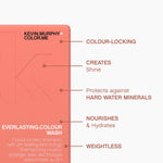 Kevin Murphy - Everlasting Colour Wash & Rinse 250ml DUO [Hair Care] Hair Care Kevin Murphy   