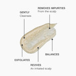 Kevin Murphy: Scalp Spa Scrub - 180ml [Beauty] Beauty Kevin Murphy