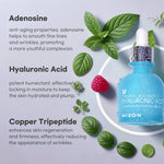 MIZON Hyaluronic Acid 100 30 mL (1.01 fl oz) Serum MIZON