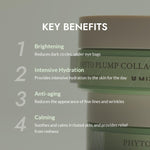 MIZON Phyto Collagen Eye Gel Patch 84g (60 ea) Mask MIZON