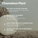 MIZON Pore Fresh Peeling Toner Pad 130 mL (60 pc) Treatment MIZON