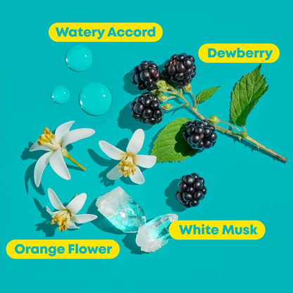 Matrix - High Amplify Shampoo & Conditioner Set - 300 mL / 10.1 FL oz