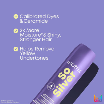 Matrix - So Silver Purple Conditioner - 1 L / 33.8 FL oz [Beauty]