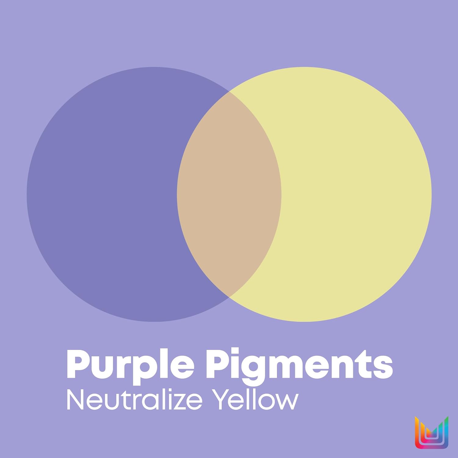 Matrix So Silver Purple Conditioner 1 L (33.8 fl oz) Conditioner Matrix