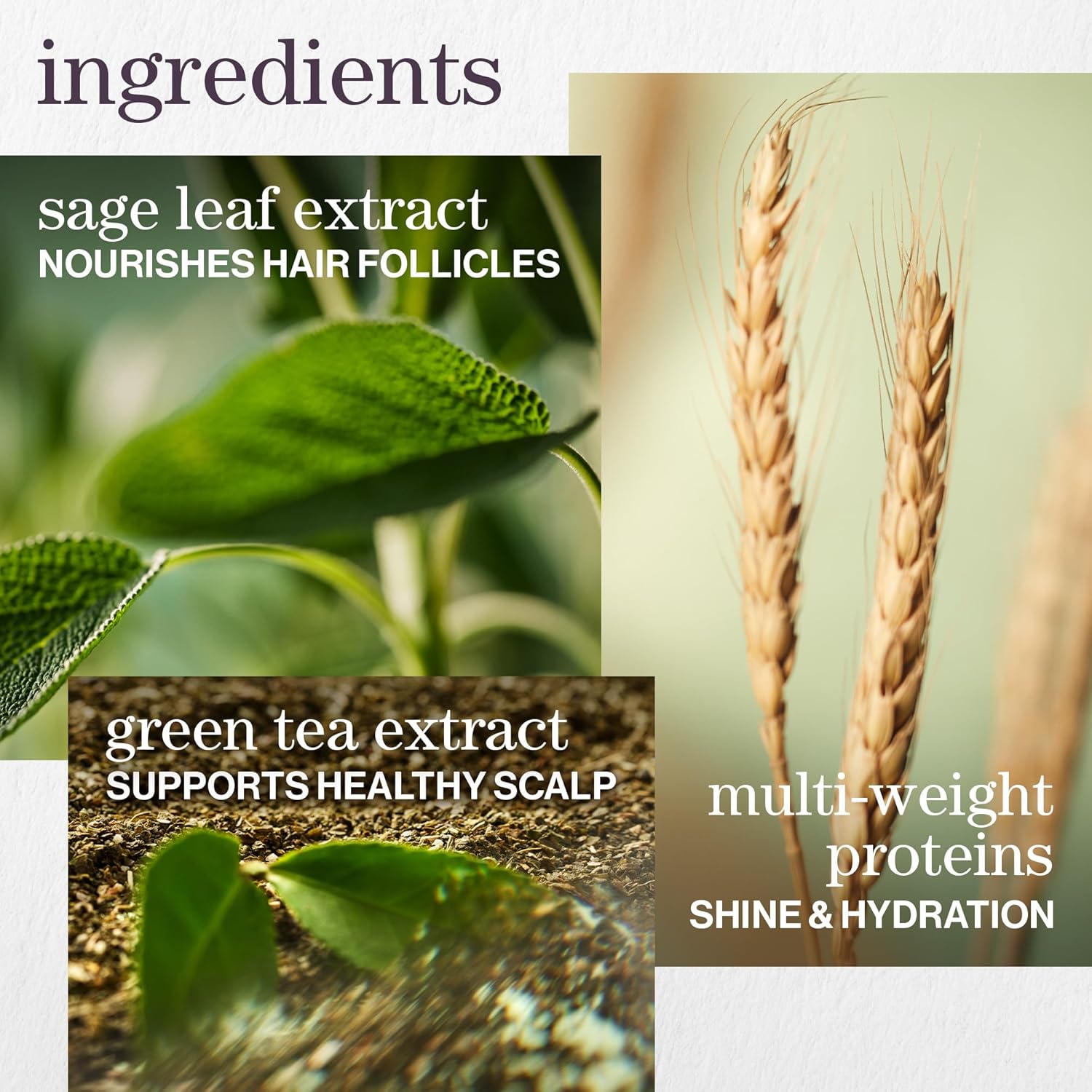 Pureology - Hydrate Conditioner - 1L / 33.8oz [Beauty] Beauty Pureology