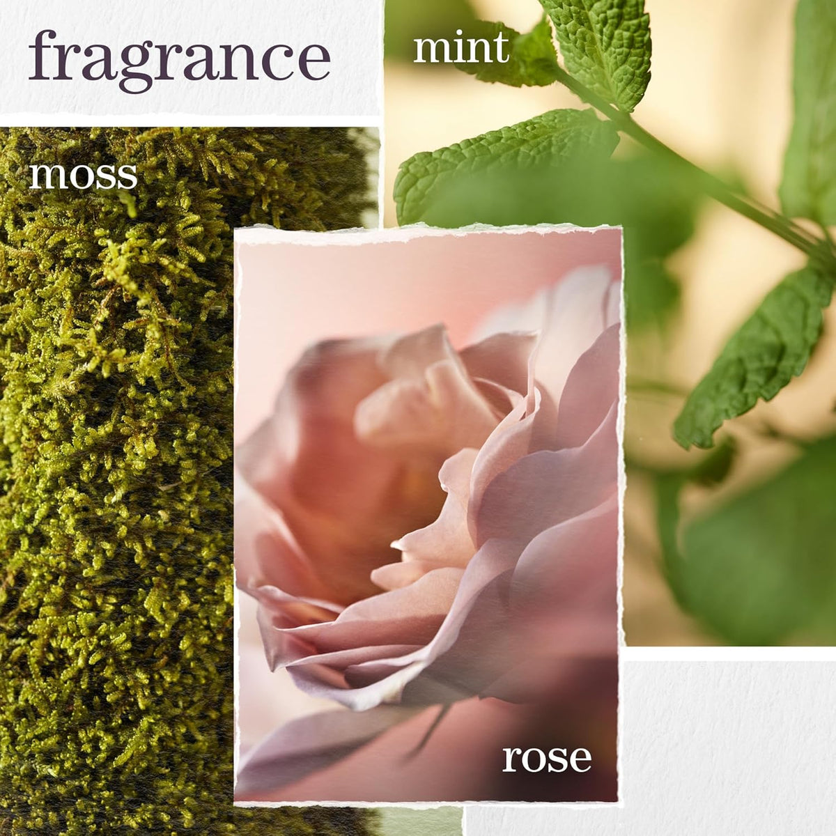 Pureology - Hydrate Conditioner - 1L / 33.8oz [Beauty] Beauty Pureology