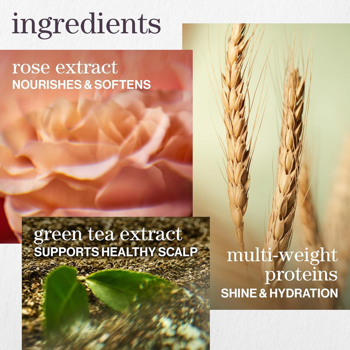 Pureology - Hydrate Shampoo - 1L / 33.8oz [Beauty] Beauty Pureology