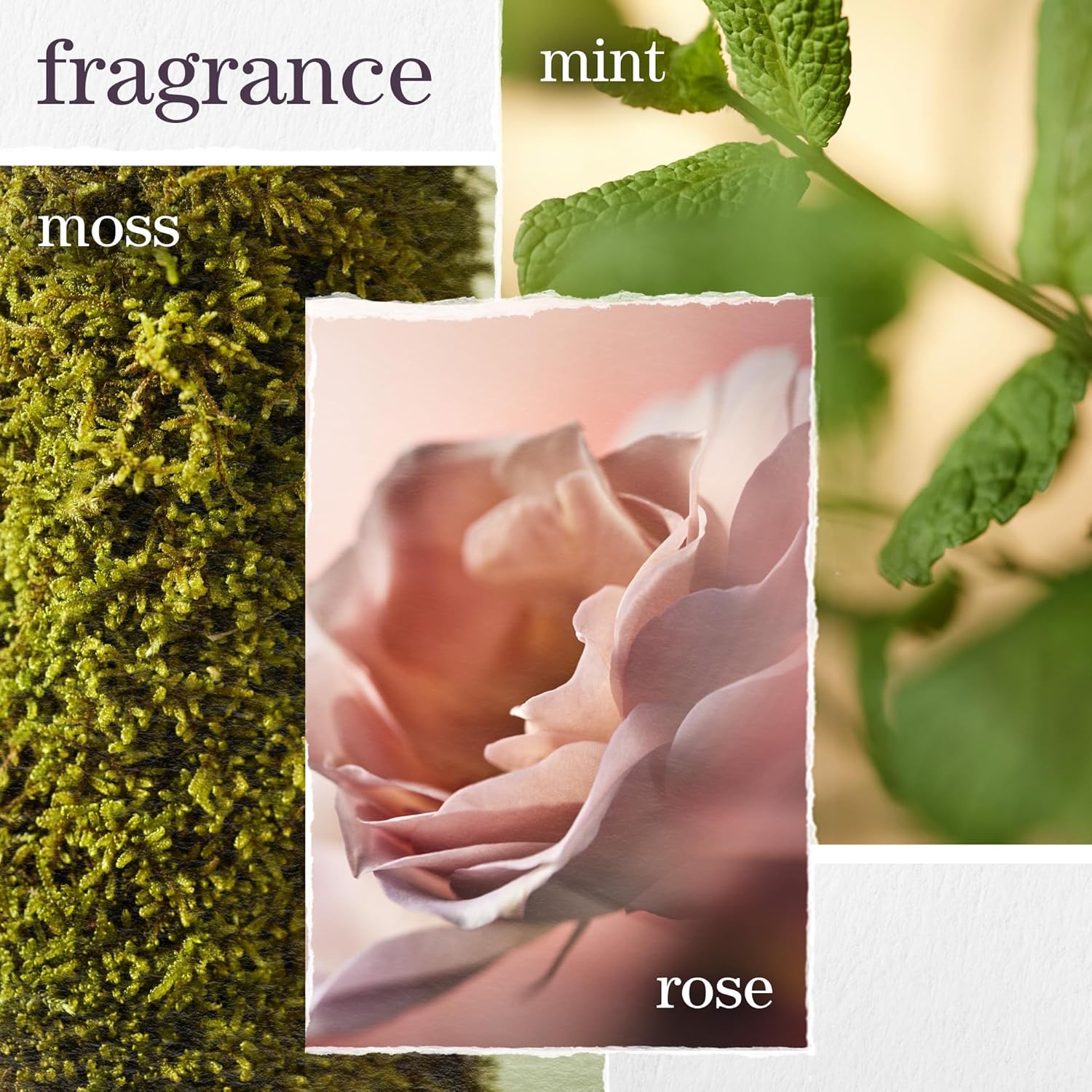 Pureology - Hydrate Sheer Conditioner - 1L / 33.8oz [Beauty] Beauty Pureology