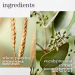 Pureology - Hydrate Sheer Shampoo - 1L / 33.8oz [Beauty] Beauty Pureology