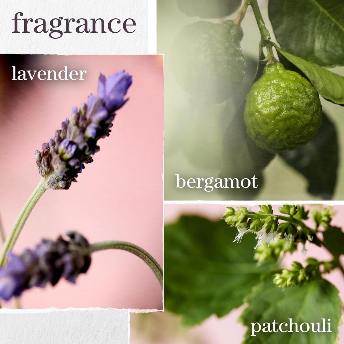 Pureology - Hydrate Sheer Shampoo - 1L / 33.8oz [Beauty] Beauty Pureology