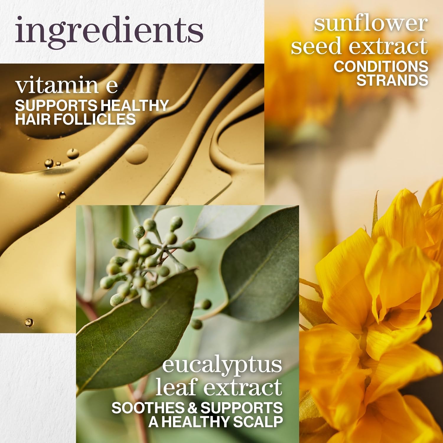 Pureology - Pure Volume Shampoo - 1L / 33.8oz [Beauty] Beauty Pureology