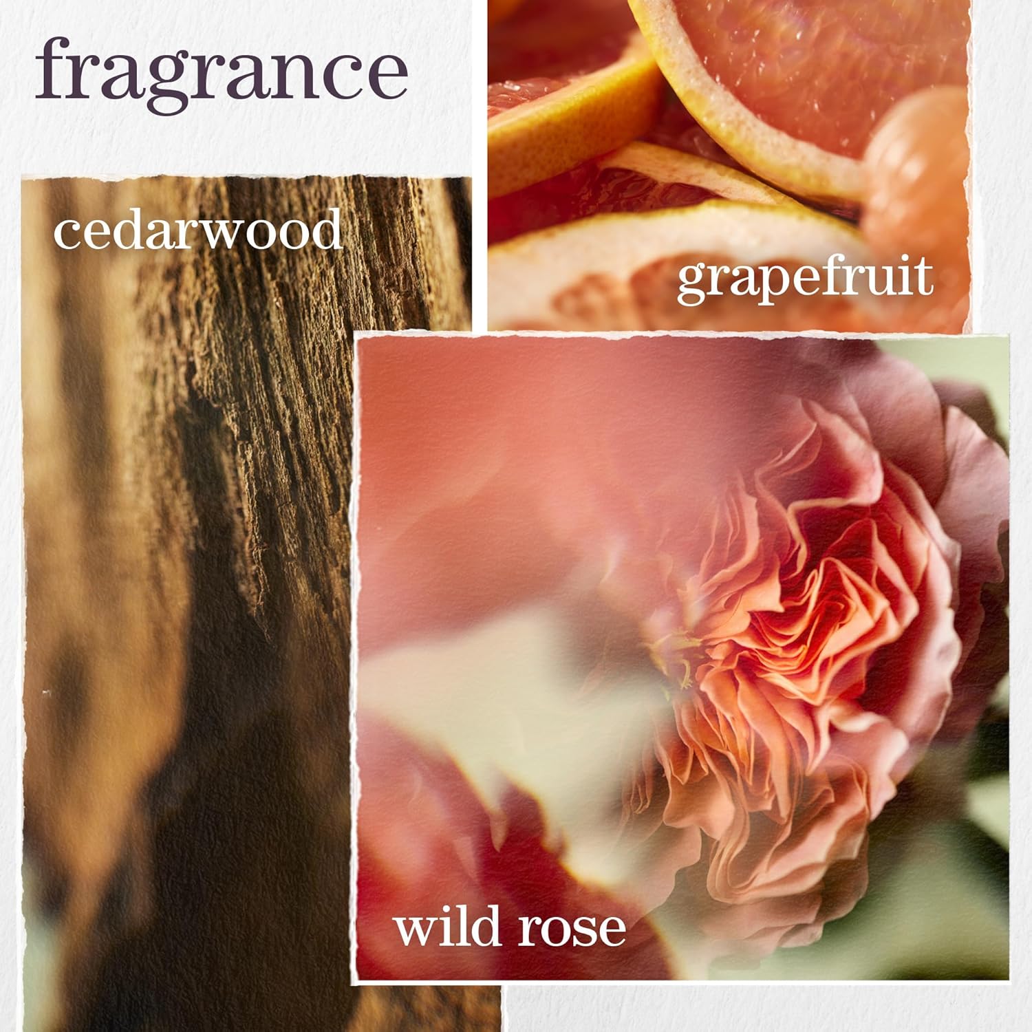 Pureology - Pure Volume Shampoo - 1L / 33.8oz [Beauty] Beauty Pureology