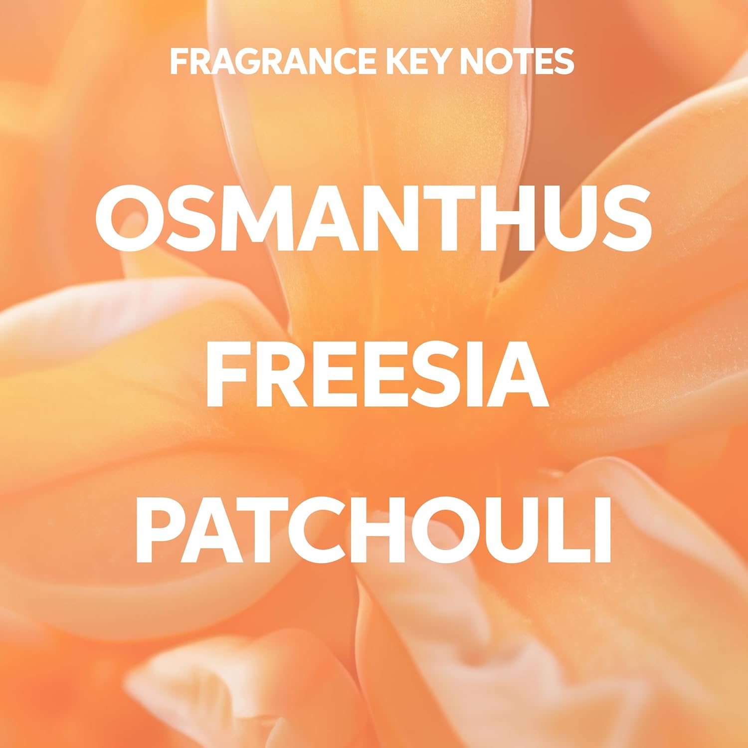 Wella Professionals INVIGO Nutri-Enrich Shampoo 1 L (33.8 fl oz)